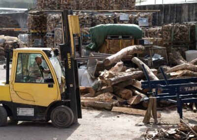 Kaminholz Bannewitz - Impressionen Holzstamm